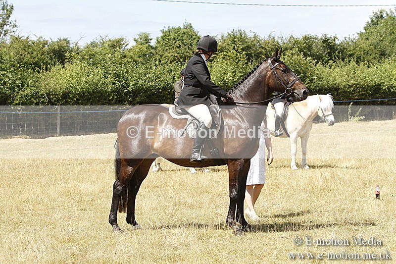 _BS_0793 - BVRC Show 2018 Ring 1