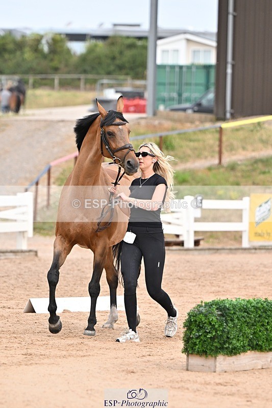 250716-151550-01828 - Trot Up 2.30 to 3.30