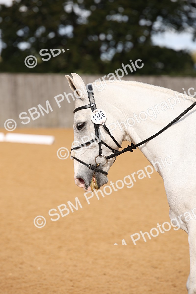 SBM_04256 - D2 Small Tour Championship Intro C