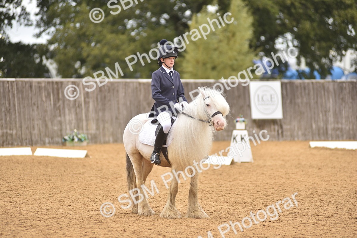 SBM_42358 - D22 - Junior Championship Intro 3