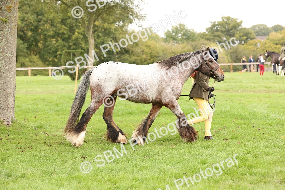 SBM_59232 - S57 - Traditional Cob In Hand