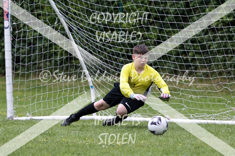 1DX30906 - Brook Field V Goddard Park