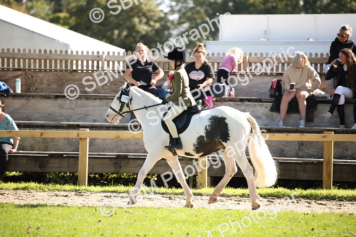 SBM_39010 - S11 - Best Ridden Horse & Pony