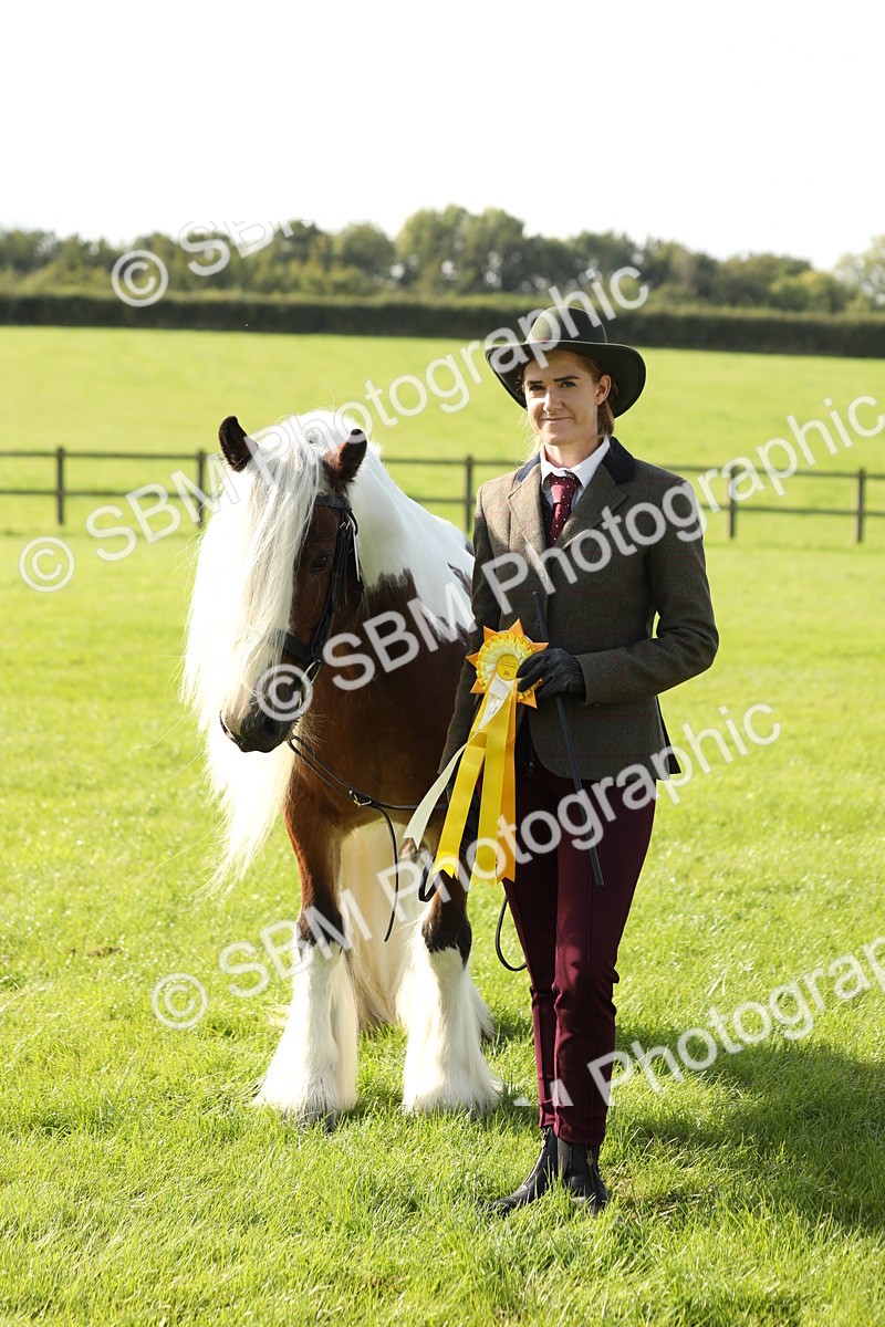 SBM_61015 - S43 - Coloured Pony In Hand