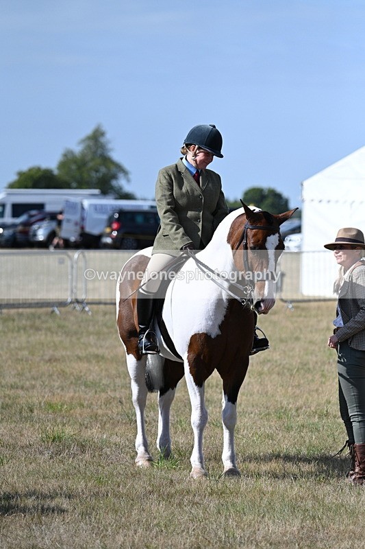 WJ7_2712 - Class 8 Ridden Tack & Turnout