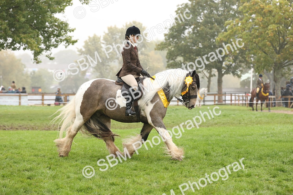 SBM_72890 - Ridden Horse Supreme Championship