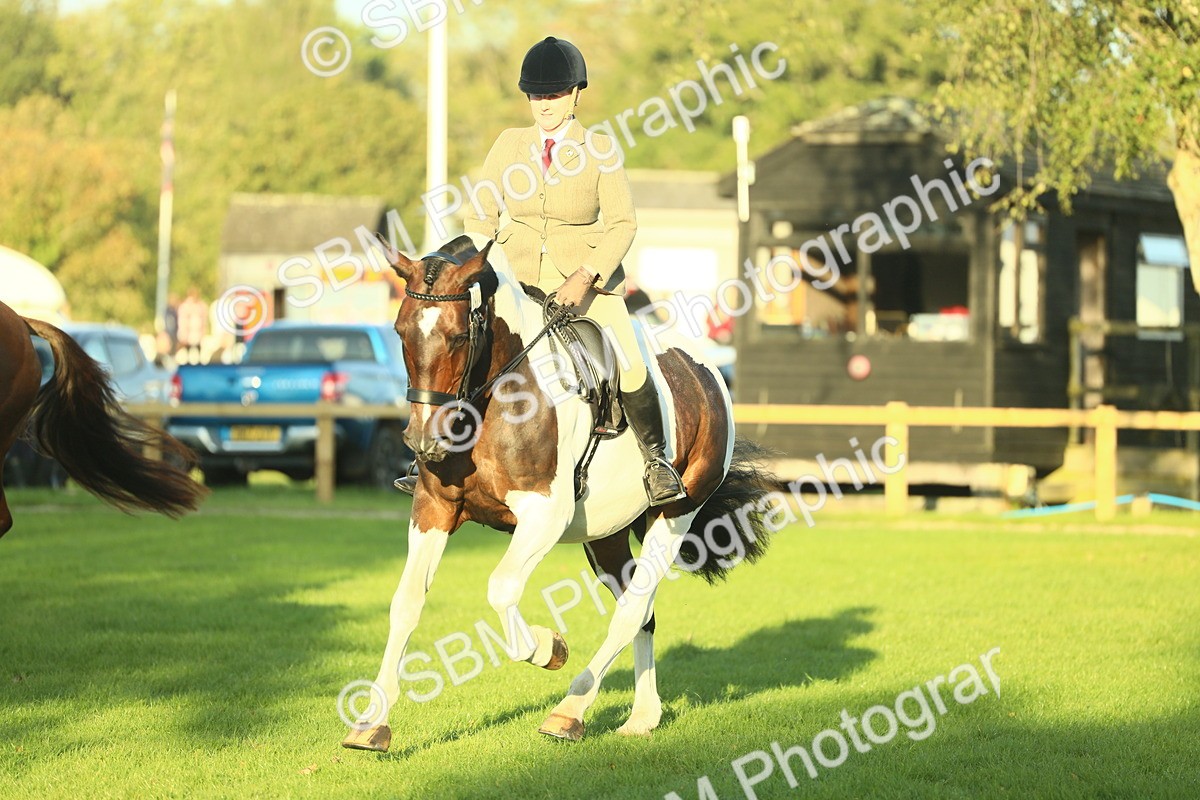 SBM_55541 - S14 - Riding Club Horse