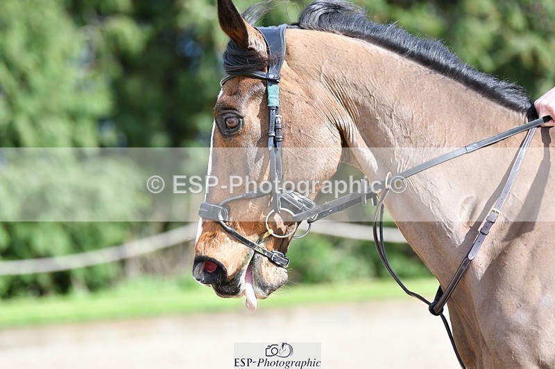 240324-142852-03094 - Cls 10 Newcomers & 1.10m Open