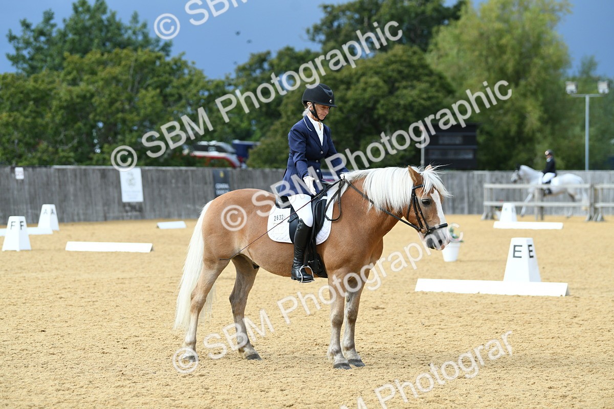 SBM_10889 - D28 Elementary Taster Elementary 42