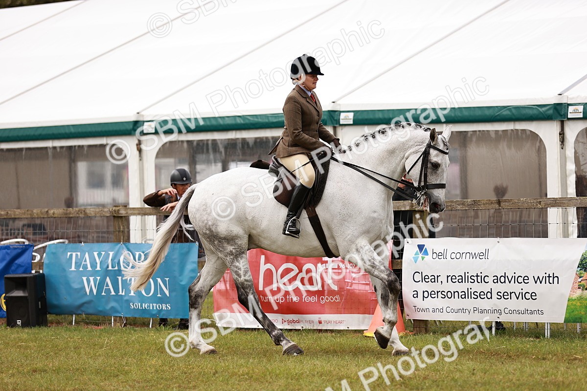 SBM_11553 - Class 81-84 - RIHS Ridden hunters Inc Ladies Hunter