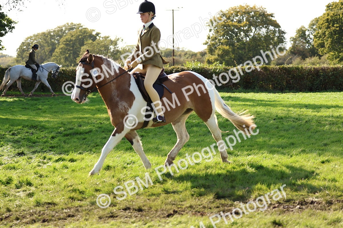 SBM_52422 - S13 - Pony Club Pony