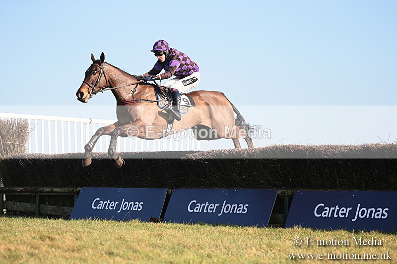PtP 230219 550 - Vine & Craven Point-To-Point - Barbury 23/02/19