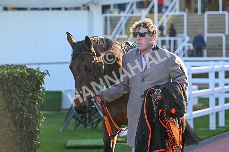 251025-Race 7-Bells Grove-0189 - Race 7
