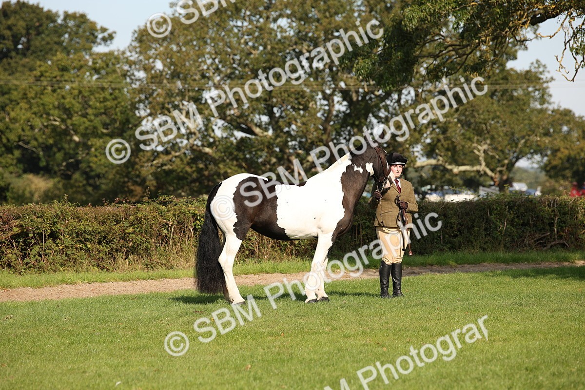 SBM_61187 - S54 - Show Cob In Hand