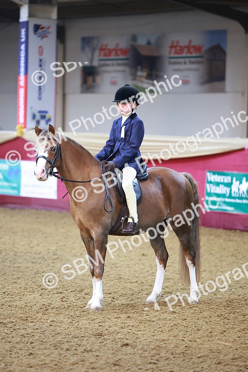 SBM_14598 - Class A - Junior Champ 10 year and Under