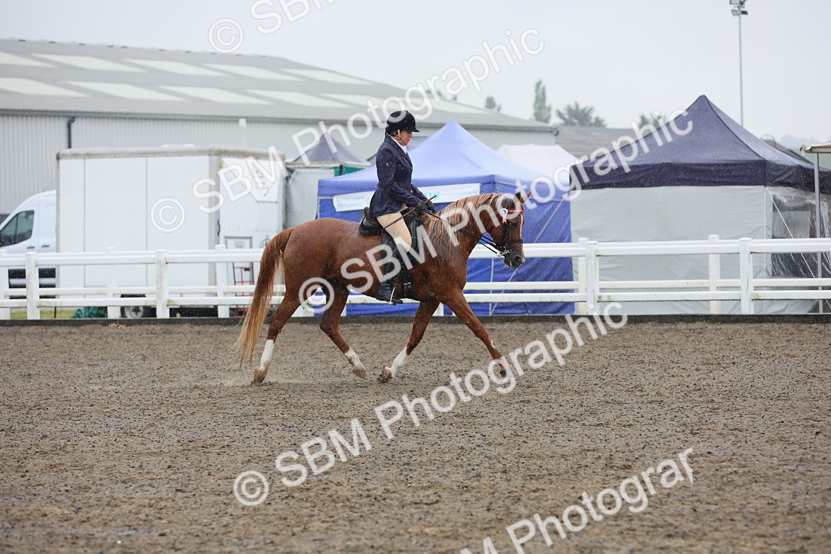 SBM_20368 - Class 803 - Ridden Combination 65+