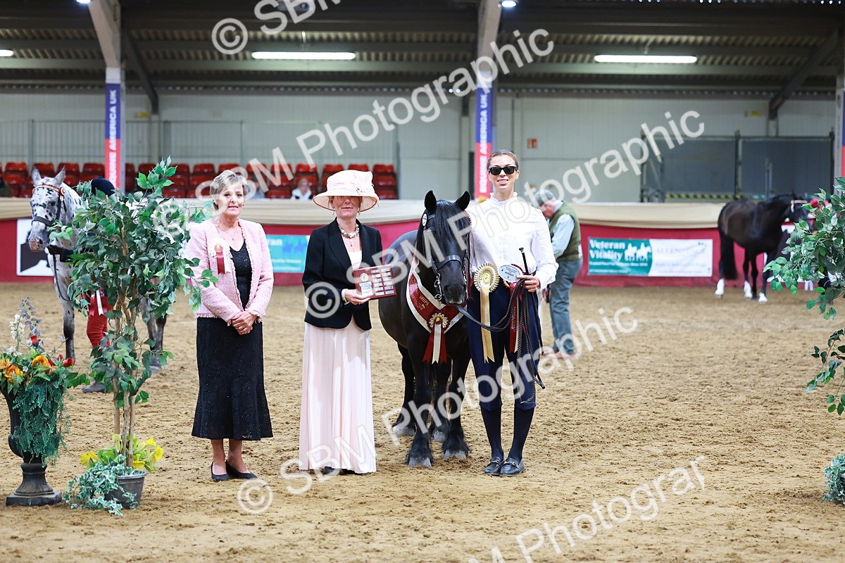 SBM_16285 - Class 901 - Sup Final - IH Diamond