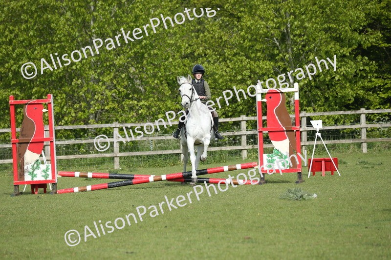 20260426-0164 - Class 13 - Rookie Jumping 50cm