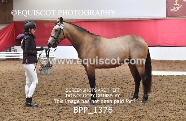 BPP_1376 - MORNING 9AM - 12PM