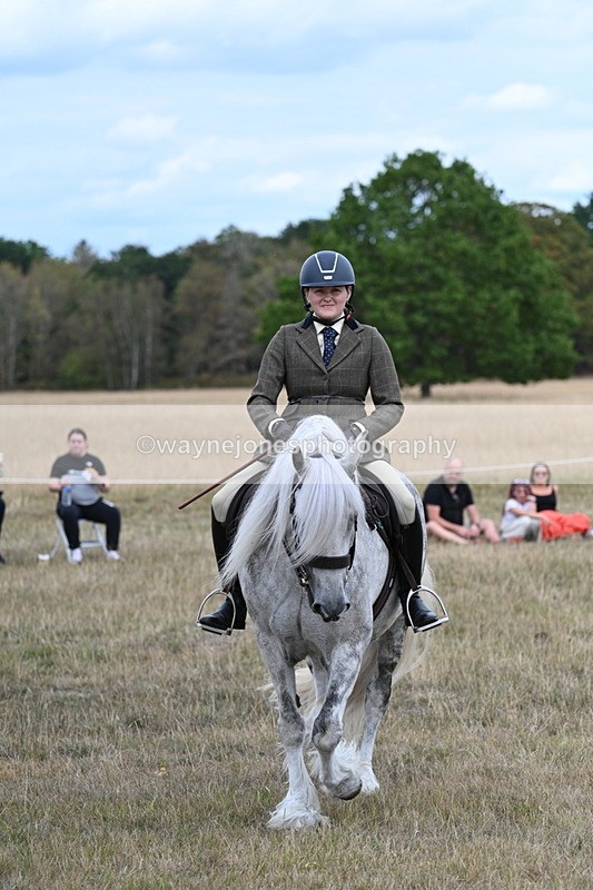 WJ7_5155 - Class 12 Ridden Cob