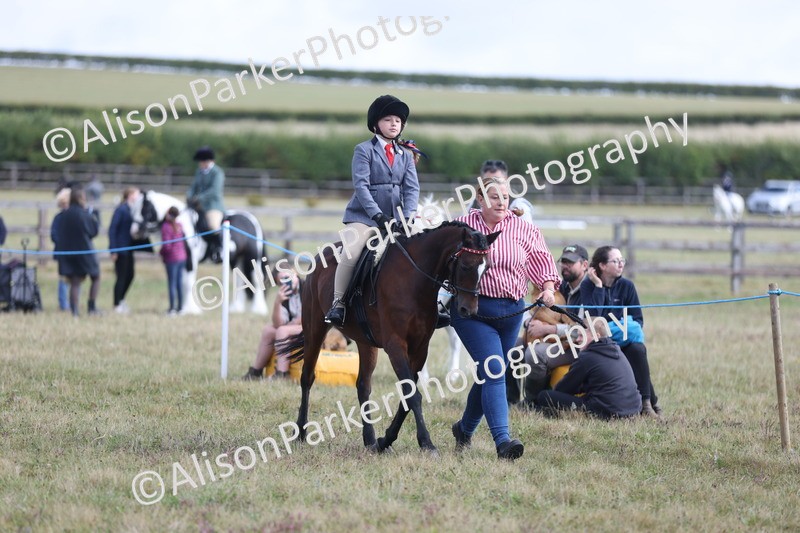 20250831-1031 - Class 15 - Ridden Veteran