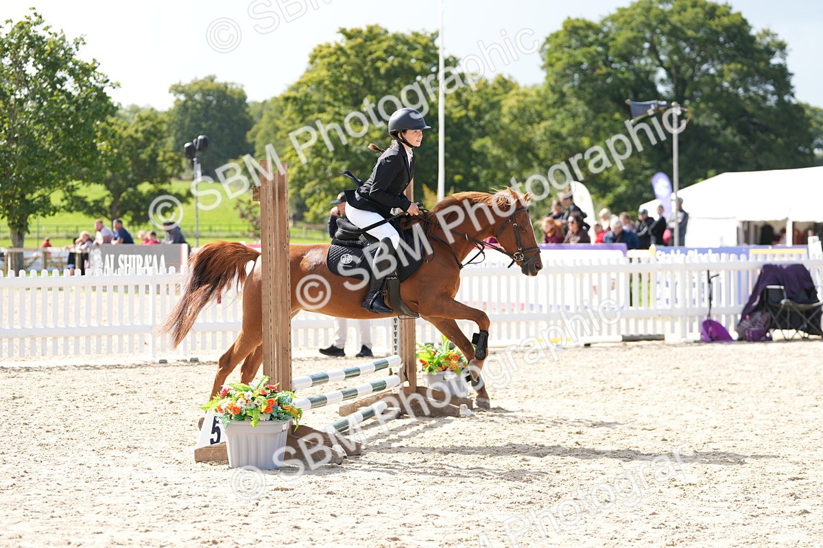 SBM_18120 - J58 - Clear Round 50cm