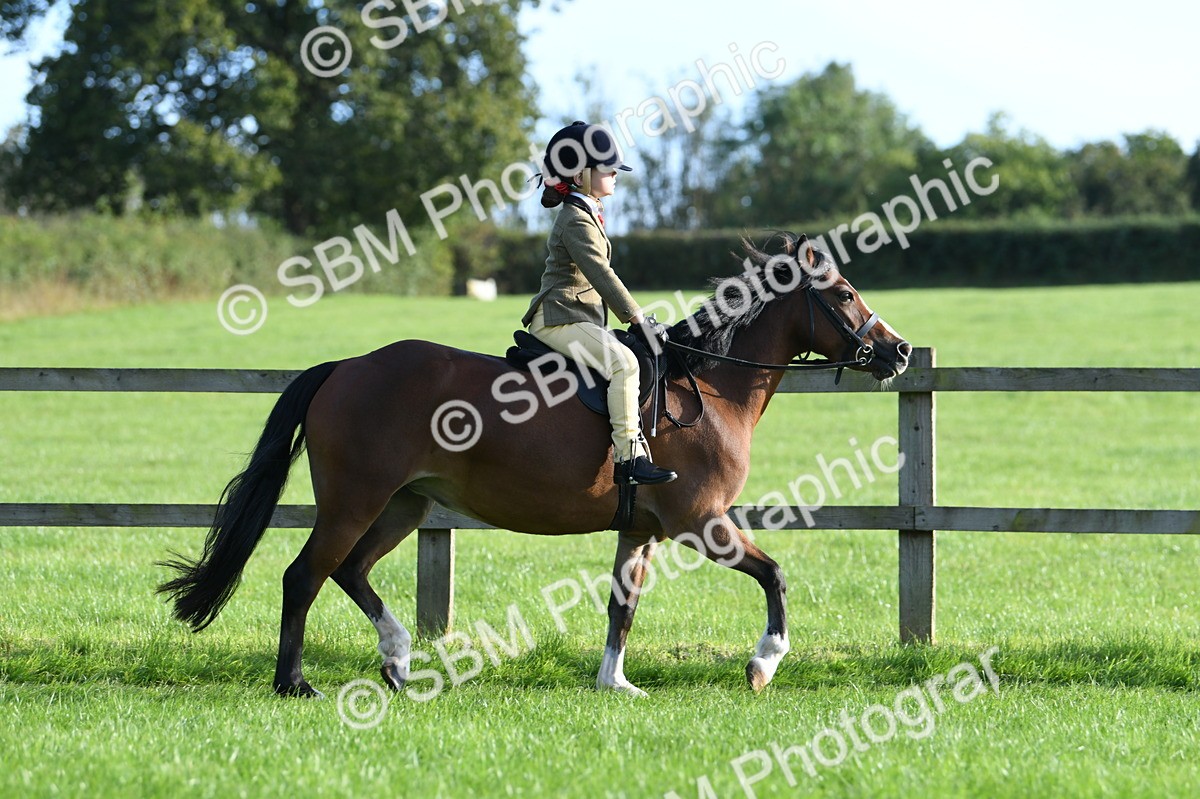 SBM_54005 - S23 - 1st Ridden Mountain & Moorland Pony