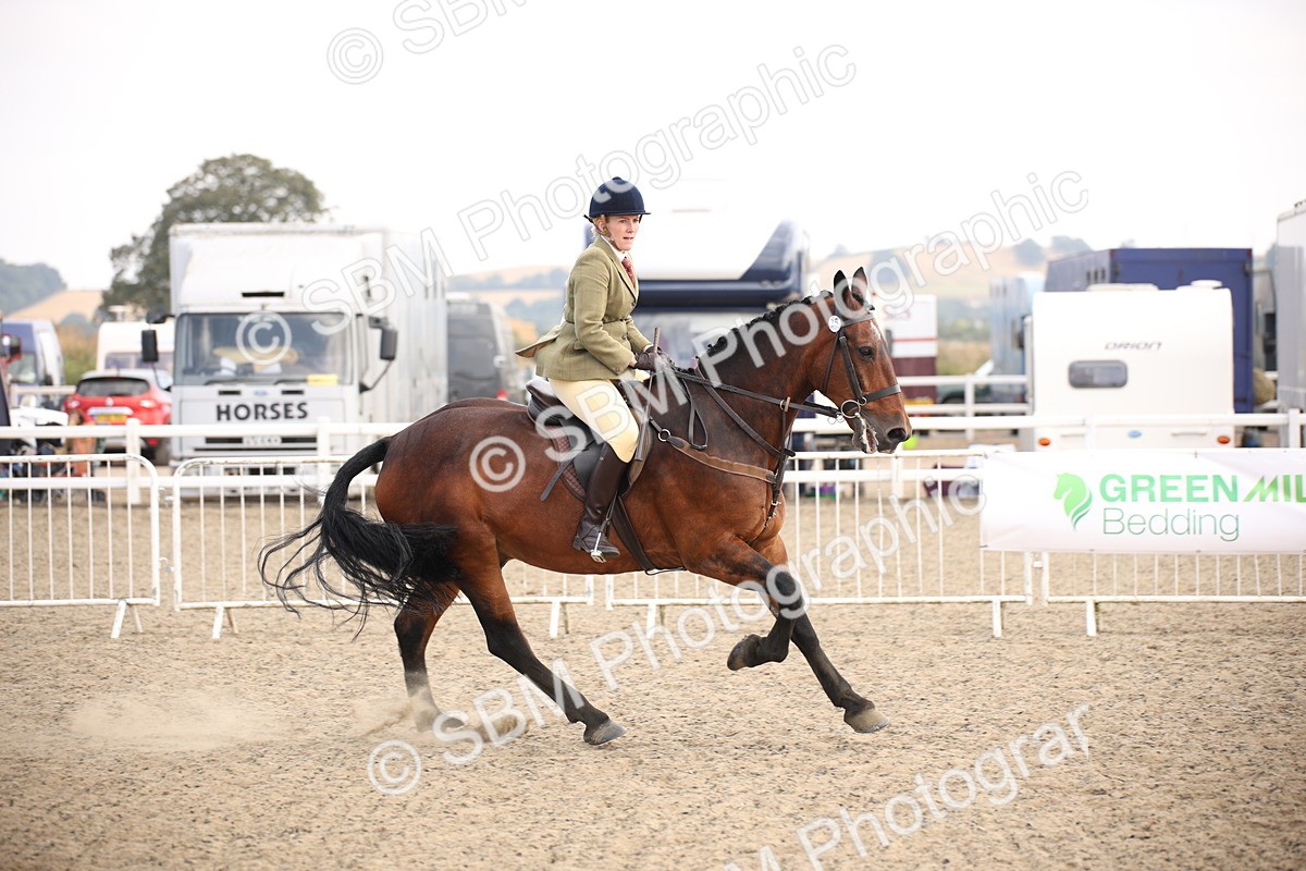 SBM_16052 - Class 408b - Working Veteran 70cm (20+)