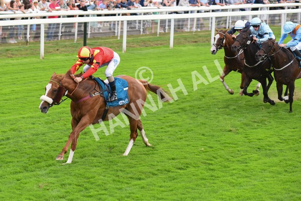 yr04092022r3-33 - Race 3 2.55pm The Elevator Company Garrowby Stakes