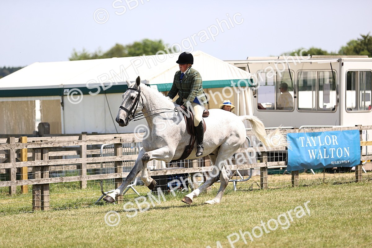 SBM_16125 - Class 79-80 - LIHS BSHA Rising Star Ridden Hunter