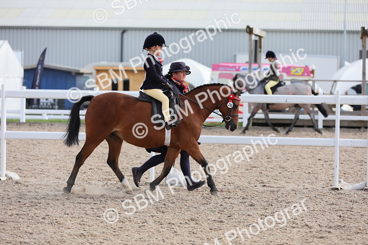 SBM_13986 - Class 309 Lead Rein Pony