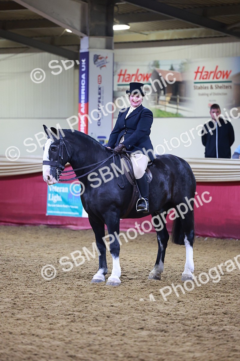 SBM_15715 - Class T - Working Veteran Champ
