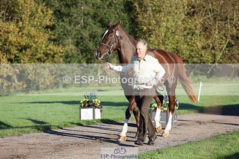 241027-084503-14791 - 315-Andrew.Winterton-STALLONE