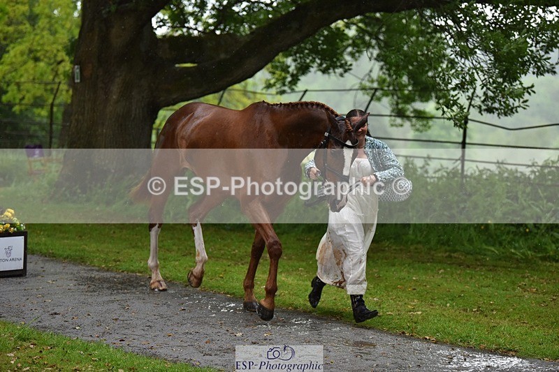 240522-153144-00404 - 355-GLOBAL_EXOTIC-Jemima_Stratton