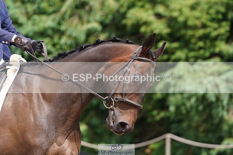 240721-133300-08950 - 205-Leia_Massey-Slipalongtrevaskis