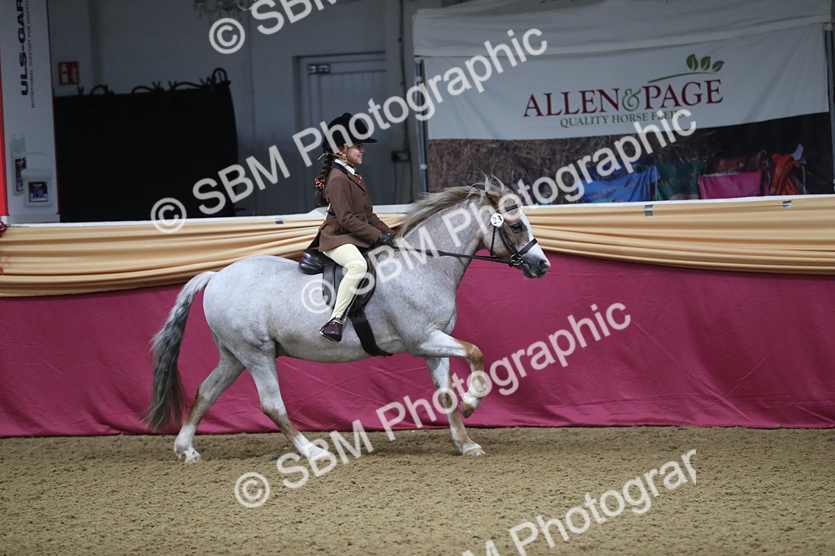 SBM_09273 - Class 101 Equitation (best rider), Junior