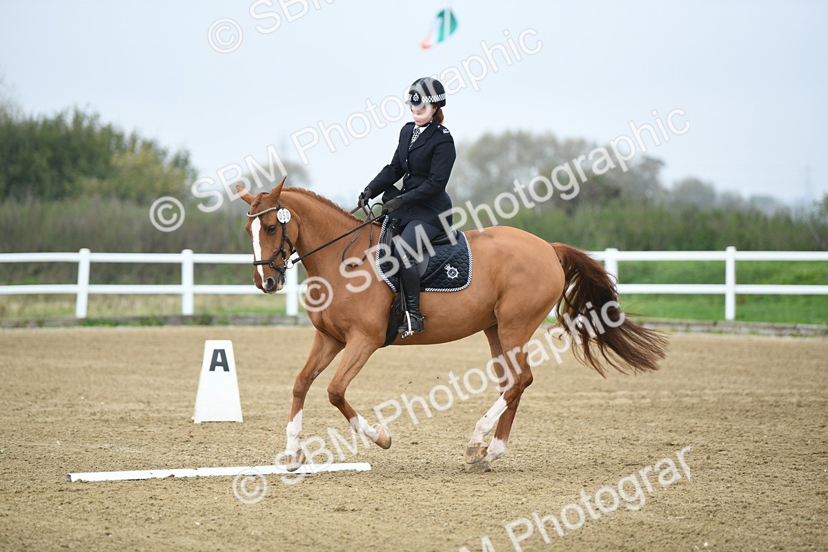 LAD_3740 - Novice Test 2