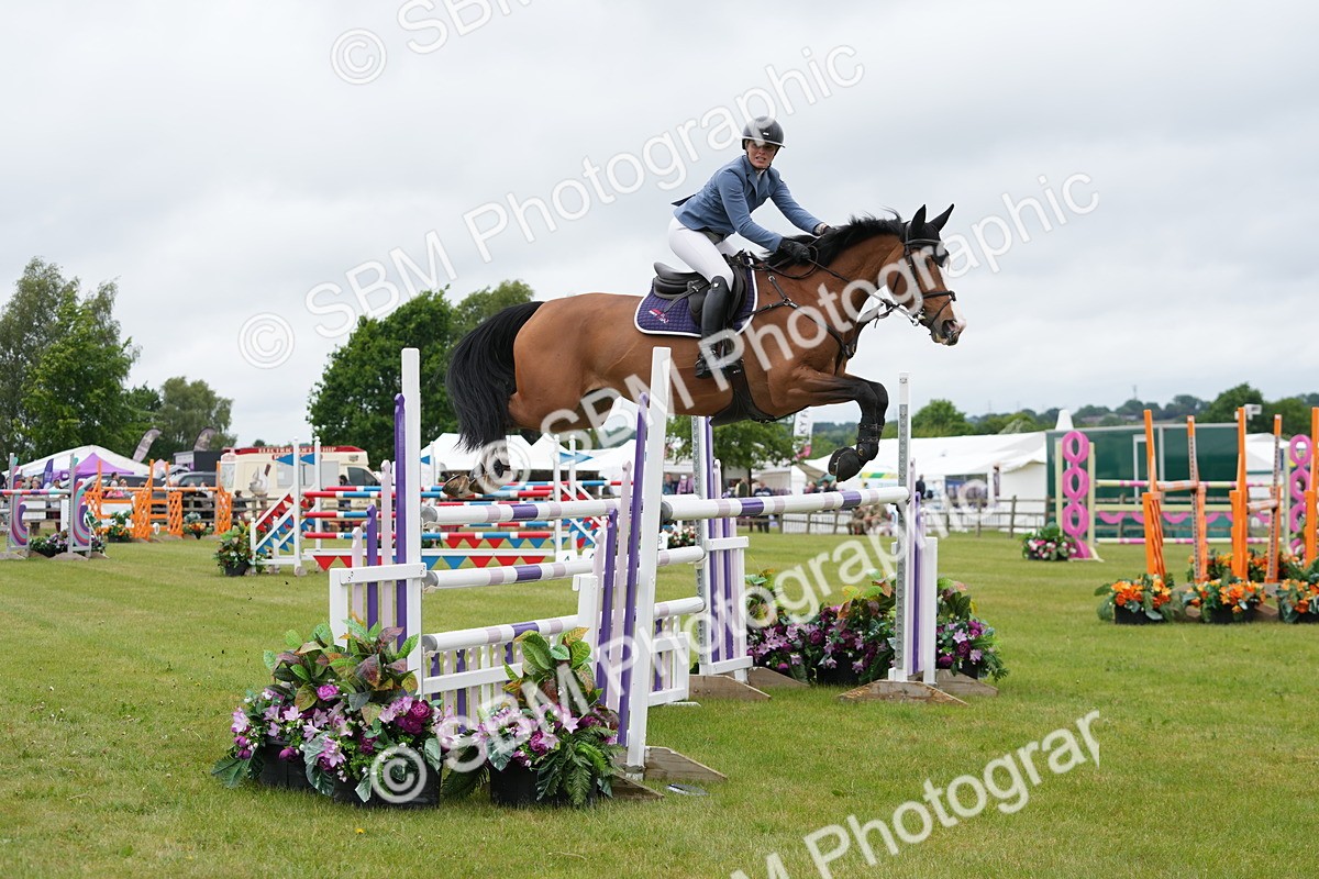 SBM_03352 - Class 201 - British Horse Feeds Speedi Beet Horse of the Year Show Grade  C