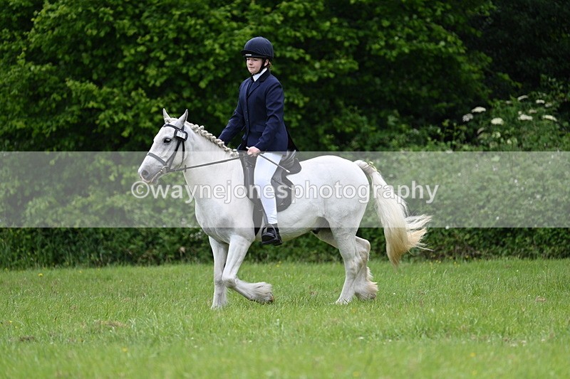 WJ7_2621 - Class 12A Coloured Class