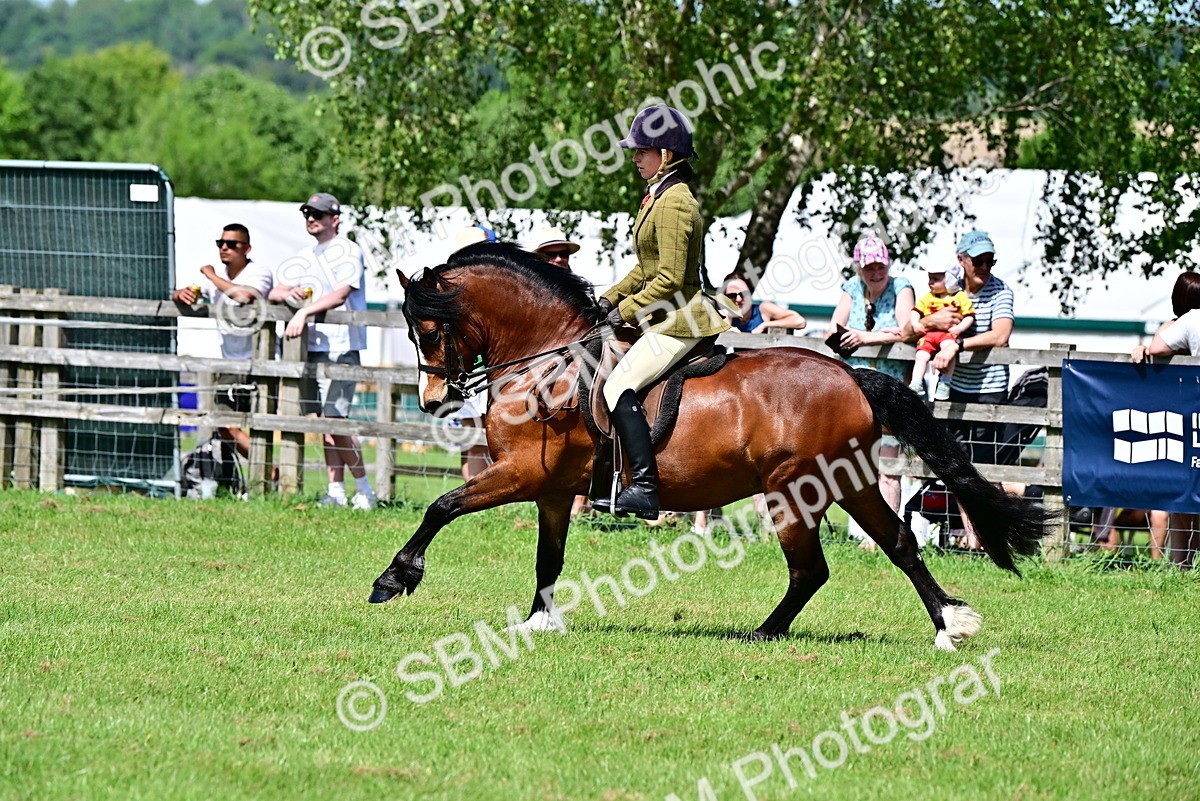 SBM_07923 - Class 61-62 - TSR  M&M Ridden Amateur of the Year