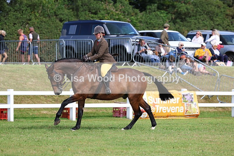 3E7A9461 - Class 4: Rising Star M/H Hunter