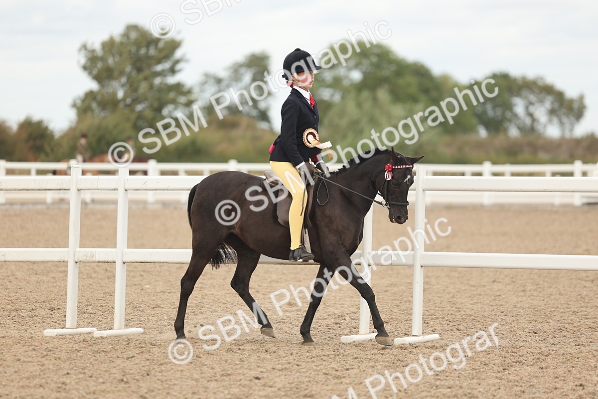 SBM_16097 - Class 311 - Ridden Show pony-Show hunter Pony