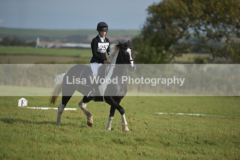 RAY_7635 - Class 2B: Trekenning Open: Dressage