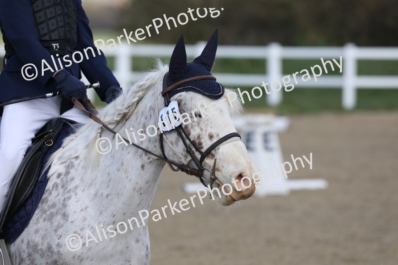 20260314-0291 - DR1 - Intro 1