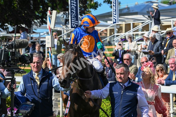 140525-Race 4-Whirl-2504 - Race 4 3.45pm Tattersalls Musidora Stakes