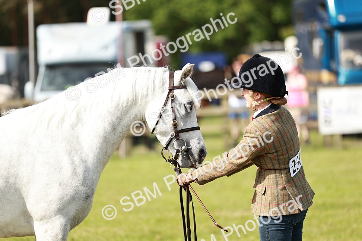 SBM_01632 - Class 14-23 - Mountain & Moorland In Hand Non Welsh