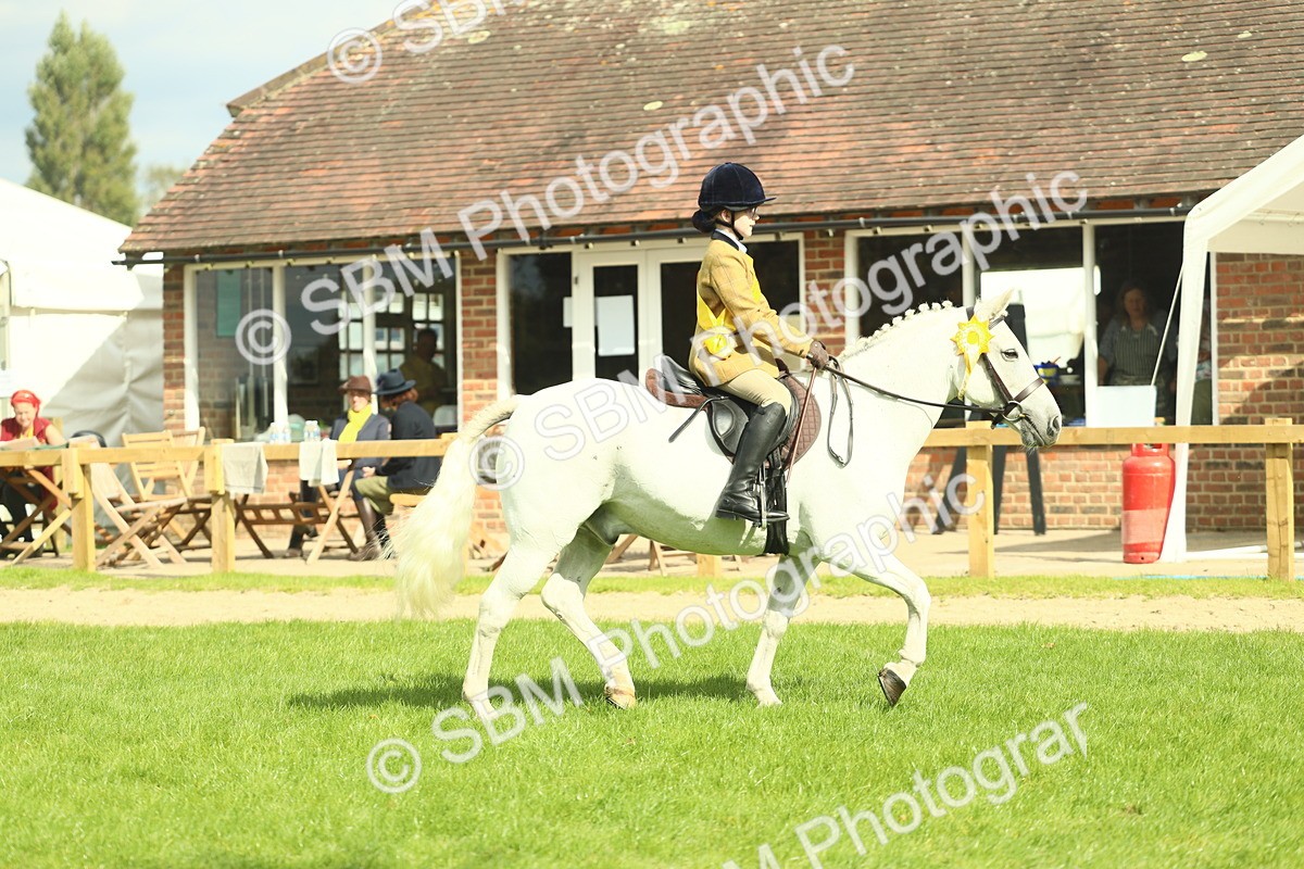 SBM_44898 - Working Hunter Pony Supreme Championship