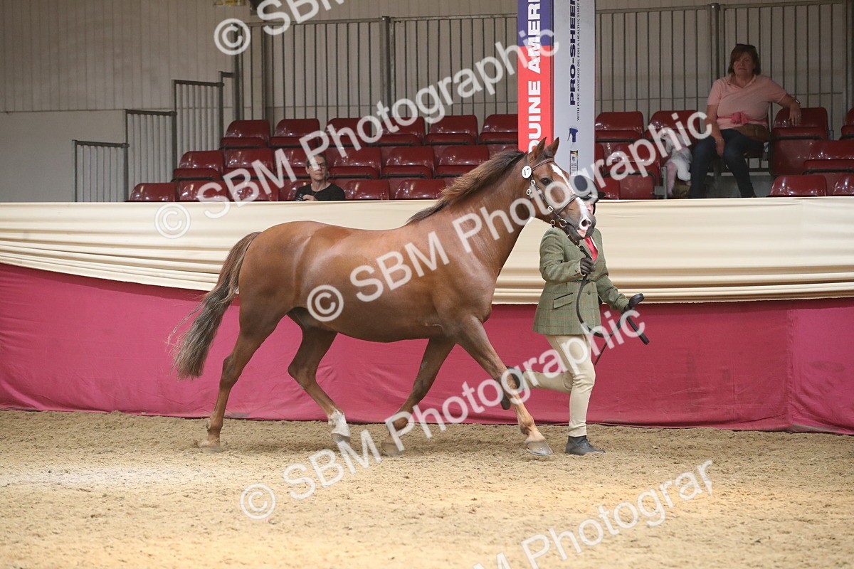 SBM_05576 - Class 9R - Regional IH Pre-Vet