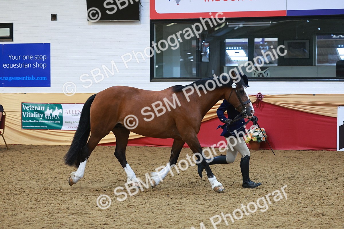 SBM_17840 - Class 952 - M&M Ridden Supreme Final