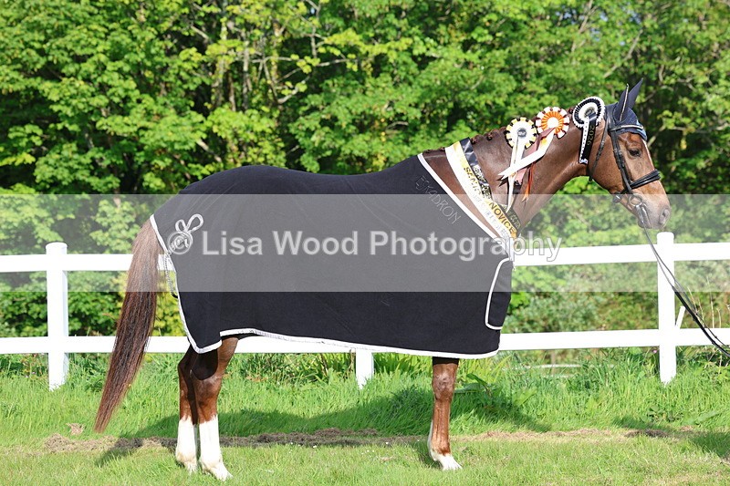 3E7A0256 - Verity Perry